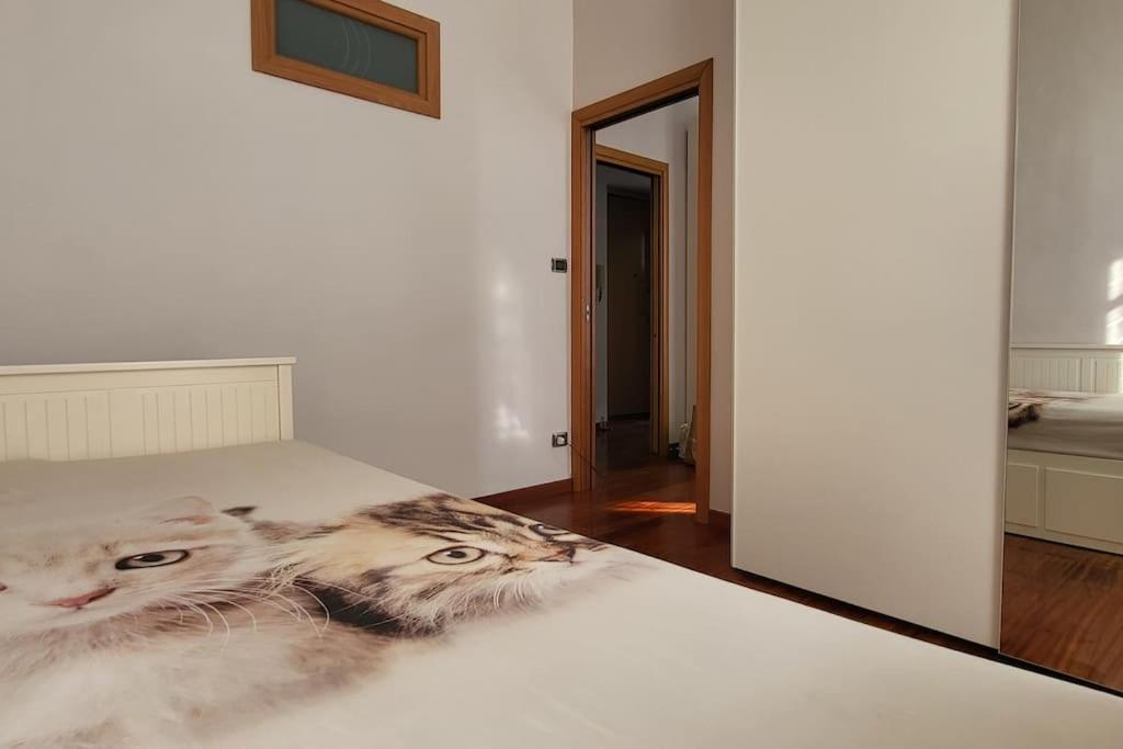 Corso Spezia 55_ Appartamento Zona Ospedali 토리노 외부 사진